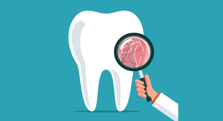 Seguro Dental