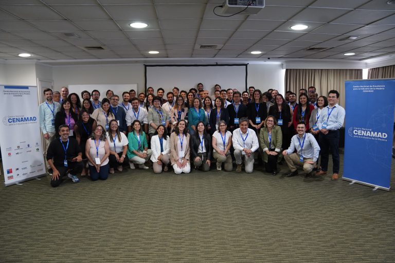 ¿A qué se dedica el Centro Nacional de Excelencia para la Industria de la Madera (CENAMAD)?